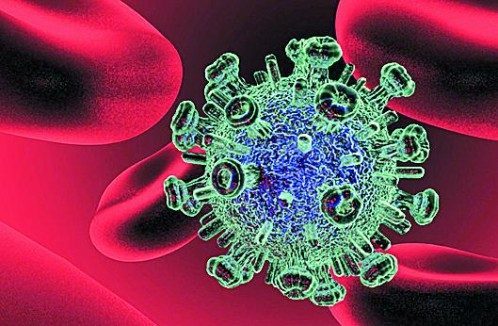 El «candado» genético que bloquea una de las rutas del virus del sida
