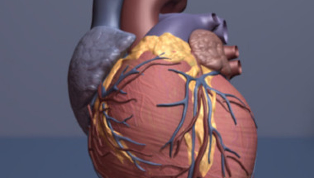 Un nuevo biomarcador ayuda a predecir los infartos hasta tres años antes