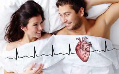 DE, Actividad sexual y Sistema cardiovascular