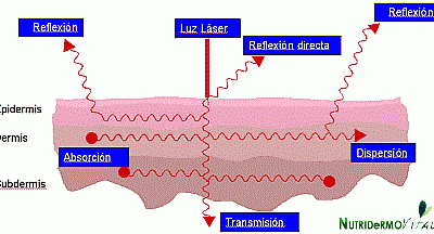 Importancia en la eficacia de las fuentes de luz (Láser, IPL, TLLL – Led,….) de la Penetración y la Dispersión