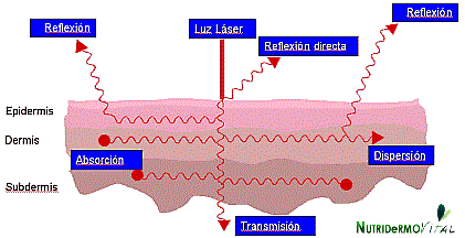 Importancia en la eficacia de las fuentes de luz (Láser, IPL, TLLL – Led,….) de la Penetración y la Dispersión