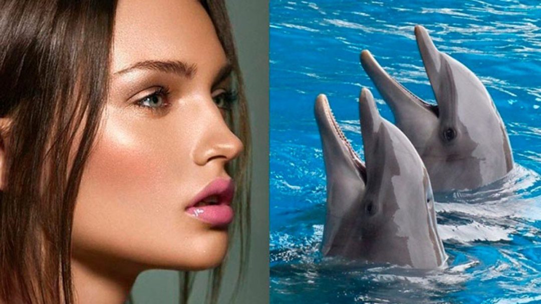 Consigue la deseada dolphin skin o piel de delfín